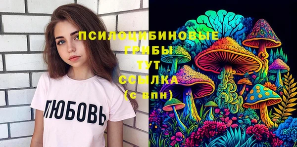 ГАЛЛЮЦИНОГЕННЫЕ ГРИБЫ Богородицк