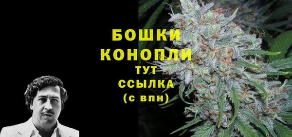 дурь Богородск